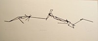 Mapping the Dislocations, 2001, by Zarina